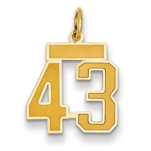 14k Yellow Gold Satin Brush Finish Small Size Number 43 Charm Pendant
