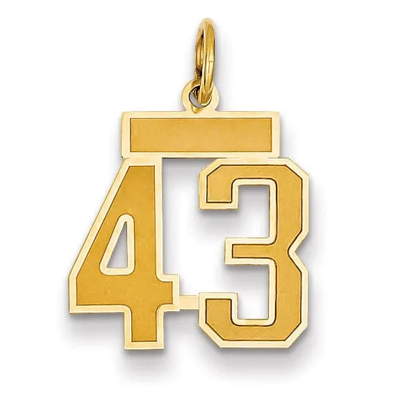 14k Yellow Gold Satin Brush Finish Small Size Number 43 Charm Pendant