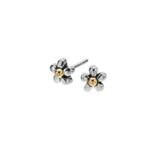 Daisy Bloom Studs
