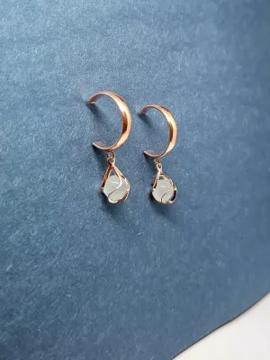 Rosegold Dangler Earrings