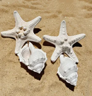 STATEMENT STARFISH EARRING
